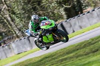 Oulton-Park-20th-March-2020;PJ-Motorsport-Photography-2020;anglesey;brands-hatch;cadwell-park;croft;donington-park;enduro-digital-images;event-digital-images;eventdigitalimages;mallory;no-limits;oulton-park;peter-wileman-photography;racing-digital-images;silverstone;snetterton;trackday-digital-images;trackday-photos;vmcc-banbury-run;welsh-2-day-enduro